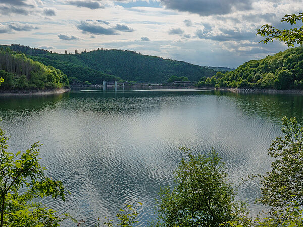 Blick auf den Rursee beim Naturcoaching